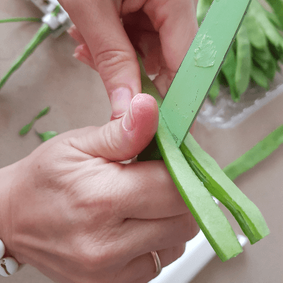 Pudding de judías verdes y espinacas