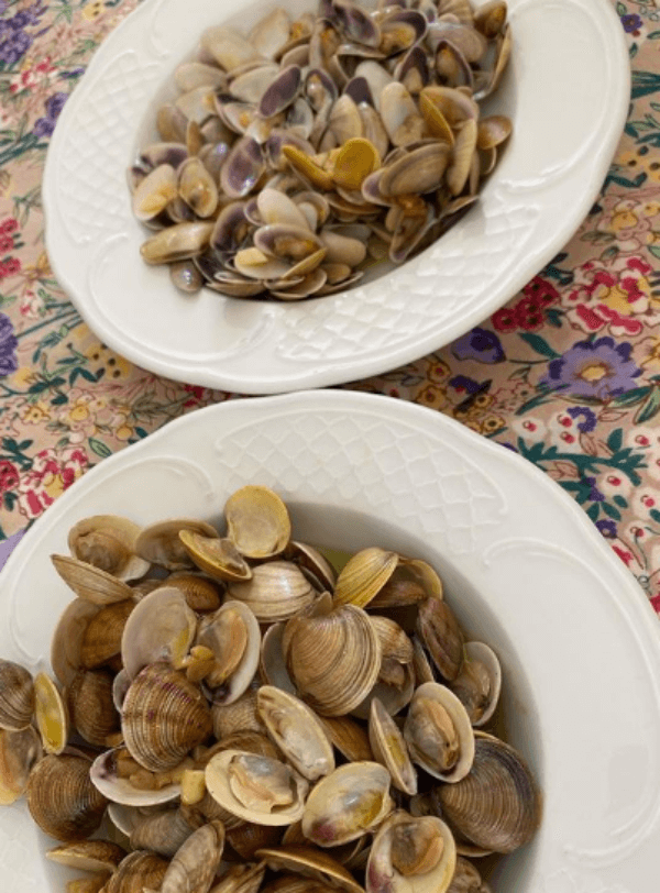 calamares y conchas imagen de galería