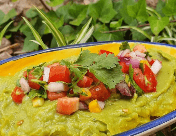 Crema de aguacate con pipirrana de cilantro